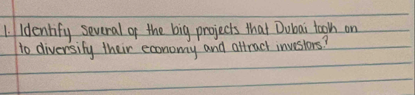 Identify several of the big projects that Dubai toot on 
to diversify their economy and attract invesiors?