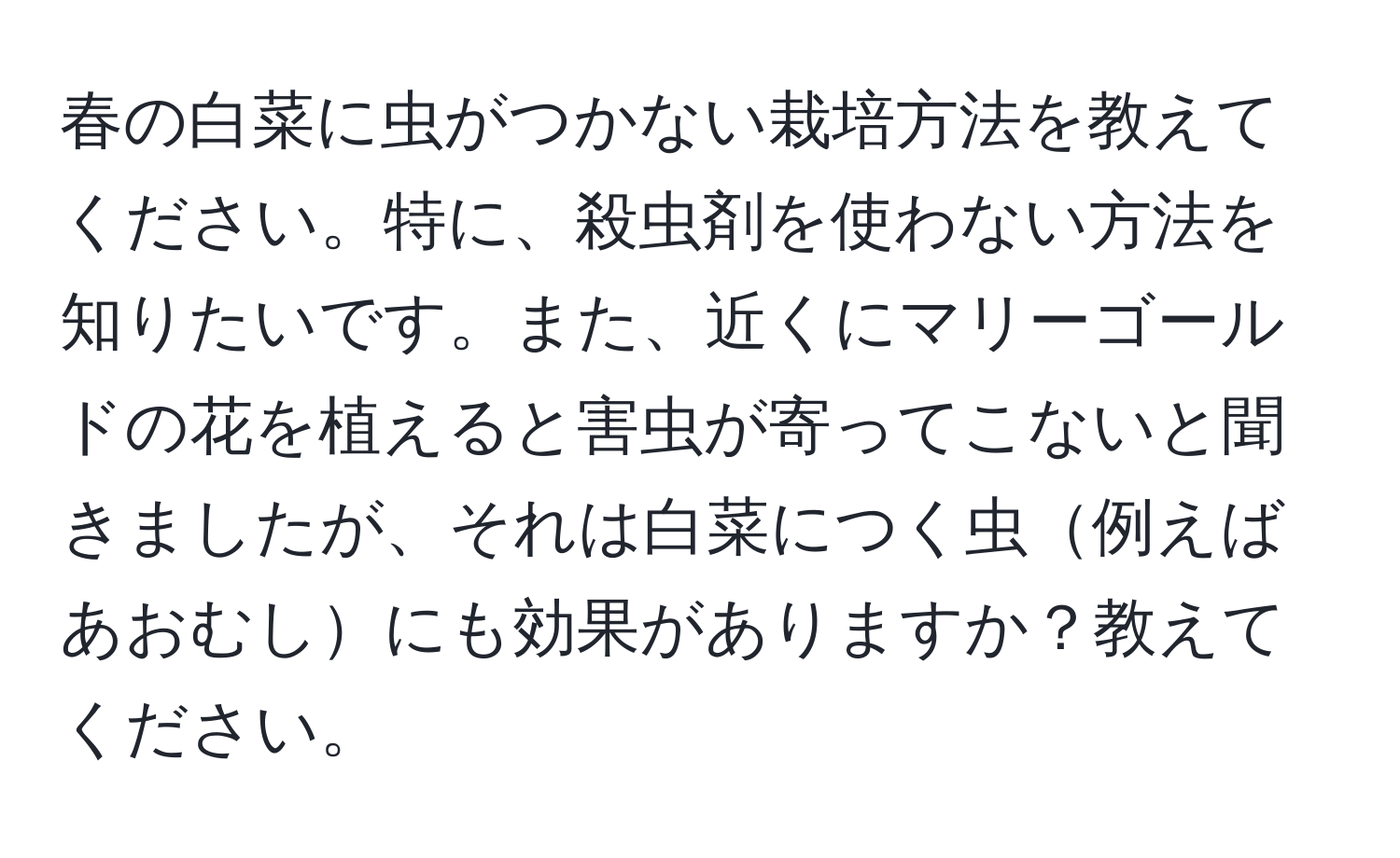 春の白菜に虫がつかない栽培方法を教えてください。特に、殺虫剤を使わない方法を知りたいです。また、近くにマリーゴールドの花を植えると害虫が寄ってこないと聞きましたが、それは白菜につく虫例えばあおむしにも効果がありますか？教えてください。