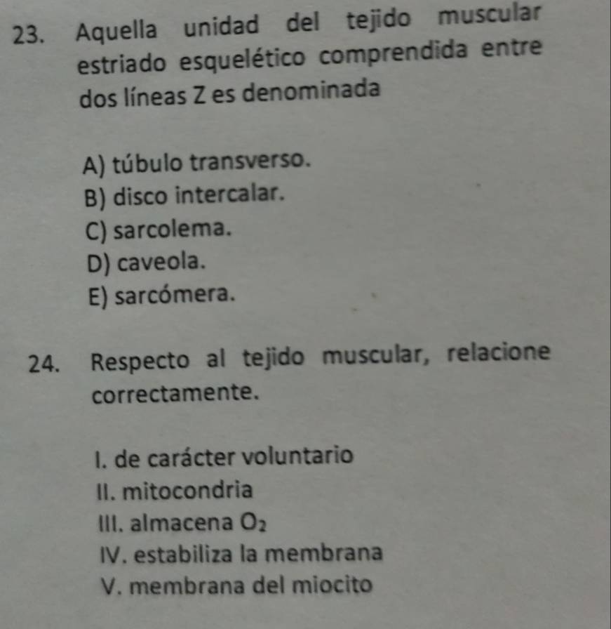 Aquella unidad del tejido muscular
estriado esquelético comprendida entre
dos líneas Z es denominada
A) túbulo transverso.
B) disco intercalar.
C) sarcolema.
D) caveola.
E) sarcómera.
24. Respecto al tejido muscular, relacione
correctamente.
I. de carácter voluntario
II. mitocondria
III. almacena O_2
IV. estabiliza la membrana
V. membrana del miocito