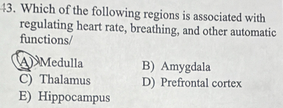 Which of the following regions is associated with
regulating heart rate, breathing, and other automatic
functions/
A) Medulla B) Amygdala
C) Thalamus D) Prefrontal cortex
E) Hippocampus