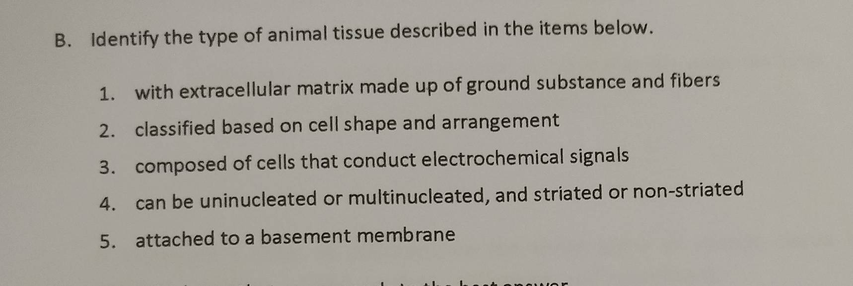 Identify the type of animal tissue described in the items below. 
1. with extracellular matrix made up of ground substance and fibers 
2. classified based on cell shape and arrangement 
3. composed of cells that conduct electrochemical signals 
4. can be uninucleated or multinucleated, and striated or non-striated 
5. attached to a basement membrane