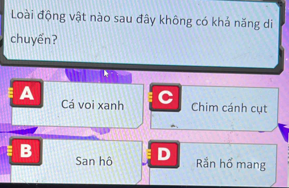 Loài động vật nào sau đây không có khả năng di
chuyển?
A
Cá voi xanh Chim cánh cụt
B
San hô
D
Rắn hổ mang