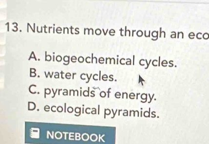 Nutrients move through an eco
A. biogeochemical cycles.
B. water cycles.
C. pyramids of energy.
D. ecological pyramids.
NOTEBOOK