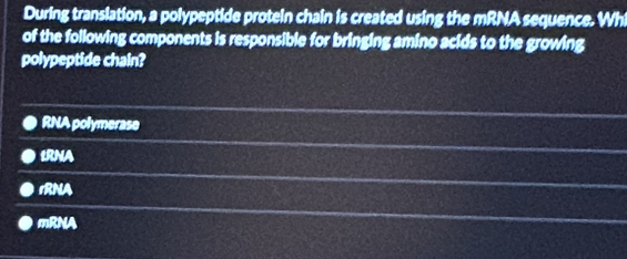 During translation, a polypeptide protein chain is created using the mRNA sequence. Whi
of the following components is responsible for bringing amino acids to the growing
polypeptide chain?
RNA polymerase
IRNA
rRNA
mRNA