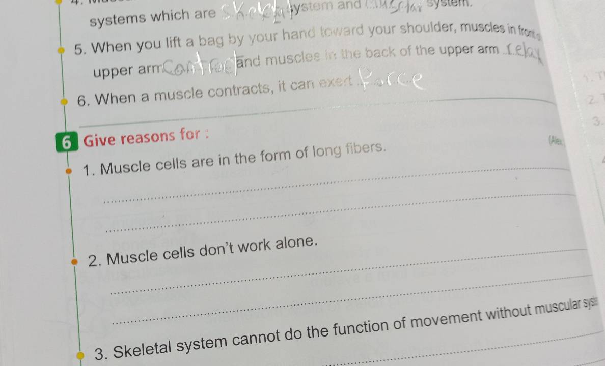 systems which are lystem and ! 
system. 
5. When you lift a bag by your hand toward your shoulder, muscles in front 
and muscles in the back of the upper arm 
upper arm 
6. When a muscle contracts, it can exert_ 
1. 
3. 
6 Give reasons for : _2.7 
_ 
1. Muscle cells are in the form of long fibers. 
(Alex 
_ 
2. Muscle cells don't work alone. 
_ 
3. Skeletal system cannot do the function of movement without muscular sys