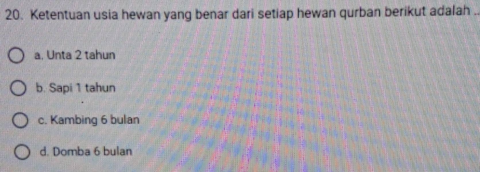 Ketentuan usia hewan yang benar dari setiap hewan qurban berikut adalah
a. Unta 2 tahun
b. Sapi 1 tahun
c. Kambing 6 bulan
d. Domba 6 bulan