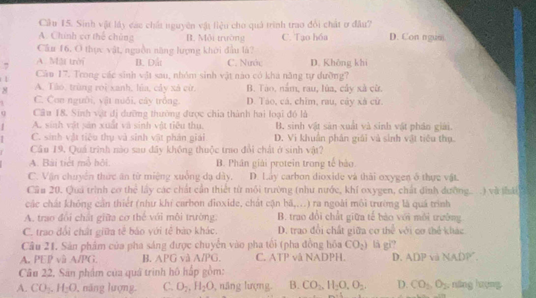 Cầu 15. Sinh vật lấy các chất nguyên vật liệu cho quả trình trao đổi chất ơ đầu7
A. Chính vơ thể chúng B. Môi trường C. Tạo hóa D. Con ngun
Cầu 16, O thực vật, nguồn năng lượng khởi đầu là?
7 A. Mặt trời B. Dất C. Nước D. Không khi
1 Câu 17. Trong các sinh vật sau, nhóm sinh vật nào có kha năng tự dường?
8 A. Tào, trùng rới xanh, lúa, cây xã cừ. B. Tào, nắm, rau, lủa, cây xã cừ.
C. Cơn người, yật nuôi, cây trồng. D. Tảo, cá, chim, rau, cây xà cử.
q Câu 18. Sinh vật đị dưỡng thường được chia thành hai loại đó là
| A. sinh vật sản xuất và sinh vật tiêu thụ, B. sinh vật sản xuất và sinh vật phân giải.
C. sinh vật tiêu thụ và sinh vật phản giải D. Vị khuẩn phân giải và sinh vật tiểu thụ.
Câu 19. Quá trình nào sau đây không thuộc trao đổi chất ở sinh vật?
A. Bài tiết mồ hội. B. Phân giải protein trong tế bảo.
C. Vận chuyển thức ân từ miệng xuồng dạ dày. D. Lay carbon dioxide và thải oxygen ở thực vật.
Cầu 20. Quá trình cơ thể lầy các chất cần thiết từ môi trường (như nước, khí oxygen, chất đình dường. ) và thái
các chất không cần thiết (như khi carbon đìoxide, chất cặn bã,...) ra ngoài môi trường là quá trình
A. trao đổi chất giữa cơ thể với môi trường. B. trao đổi chất giữa tế bảo với môi trường
C. trao đổi chất giữa tế bảo yới tế bào khác. D. trao đổi chất giữa cơ từ 70° với cơ thể khác
Câu 21. Sản phẩm của pha sáng được chuyển vào pha tối (pha đồng hóa CO_2) là gi?
A. PEP và A/PG. B. APG và A/PG. C. ATP và NADPH. D. A BP và NADP
Câu 22, Sân phẩm của quá trình hộ hấp gồm:
A. CO_2.H_2O , năng lượng. C. O_2,H_2O ,năng lượng. B. CO_2,H_2O,O_2. D. CO_2,O_2 , năng hượng