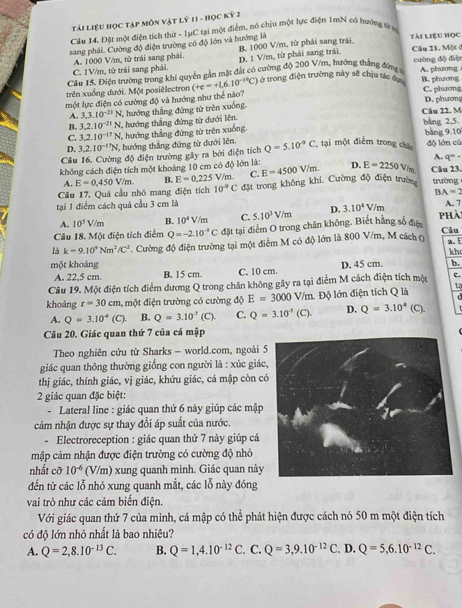 Tài liệu học tập Môn vật lý 11 - học Kỷ 2
Câu 14. Đặt một điện tích thử - 1μC tại một điểm, nó chịu một lực điện 1mN có hướng từ t
sang phải. Cường độ điện trường có độ lớn và hướng là
tài liệu học
A. 1000 V/m, từ trái sang phải. B. 1000 V/m, từ phải sang trái.
C. 1V/m, từ trái sang phải. D. 1 V/m, từ phải sang trái.
Câu 21. Một ở
Cầu 15. Điện trường trong khí quyển gần mặt đất có cường độ 200 V/m, hướng thẳng đứng v cường độ điện A. phương
trên xuống dưới. Một posiêlectron (+e=+1,6.10^(-19)C) ở trong điện trường này sẽ chịu tác dụng B. phương
một lực điện có cường độ và hướng như thế nào? C. phương D. phương
A. 3,3.10^(-21)N hướng thẳng đứng từ trên xuống
Câu 22. M
B. 3,2.10^(-21)N 1, hướng thẳng đứng từ dưới lên.
bàng 2,5.
C. 3,2.10^(-17)N 1, hướng thẳng đứng từ trên xuống. bằng 9.10
D. 3,2.10^(-17)N, , hướng thẳng đứng từ dưới lên.
Câu 16. Cường độ điện trường gây ra bởi điện tích Q=5.10^(-9)C , tại một điểm trong chân độ lớn củ
A. q=-
không cách điện tích một khoảng 10 cm có độ lớn là: E=4500V/m. D. E=2250Vh n Câu 23.
A. E=0,450V/m. B. E=0,225V/m. C.
Câu 17. Quả cầu nhỏ mang điện tích 10^(-9)C đặt trong không khí, Cường độ điện trường trường
BA=2
tại 1 điểm cách quả cầu 3 cm là A. 7
A. 10^5V/m B. 10^4V/m C. 5.10^3V/m D. 3.10^4V/m
phài
Câu 18. Một điện tích điểm Q=-2.10^(-9)C đặt tại điểm O trong chân không. Biết hằng số diện
Câu
là k=9.10^9Nm^2/C^2. Cường độ điện trường tại một điểm M có độ lớn là 800 V/m, M cách ( a. E
kh
một khoảng D. 45 cm. b.
A. 22,5 cm. B. 15 cm. C. 10 cm.
Câu 19. Một điện tích điểm dương Q trong chân không gây ra tại điểm M cách điện tích một c.
khoảng r=30cm đ, một điện trường có cường độ E=3000V/m. Độ lớn điện tích Q là tạ
d
A. Q=3.10^(-6)(C). B. Q=3.10^(-7)(C). C. Q=3.10^(-5)(C). D. Q=3.10^(-8)(C) t
Câu 20. Giác quan thứ 7 của cá mập
Theo nghiên cứu từ Sharks - world.com, ngoài 5
giác quan thông thường giống con người là : xúc giác
thị giác, thính giác, vị giác, khứu giác, cá mập còn có
2 giác quan đặc biệt:
-  Lateral line : giác quan thứ 6 này giúp các mập
cảm nhận được sự thay đổi áp suất của nước.
- Electroreception : giác quan thứ 7 này giúp cá
mập cảm nhận được điện trường có cường độ nhỏ
nhất cỡ 10^(-6) (V/m) xung quanh mình. Giác quan này
đến từ các lỗ nhỏ xung quanh mắt, các lỗ này đóng
vai trò như các cảm biến điện.
Với giác quan thứ 7 của mình, cá mập có thể phát hiện được cách nó 50 m một điện tích
có độ lớn nhỏ nhất là bao nhiêu?
A. Q=2,8.10^(-13)C. B. Q=1,4.10^(-12)C.. C. Q=3,9.10^(-12)C. D. Q=5,6.10^(-12)C.