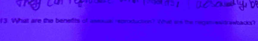 (3. What are the benefits of asesual reproduction? What are the regatvesidrawbacks?