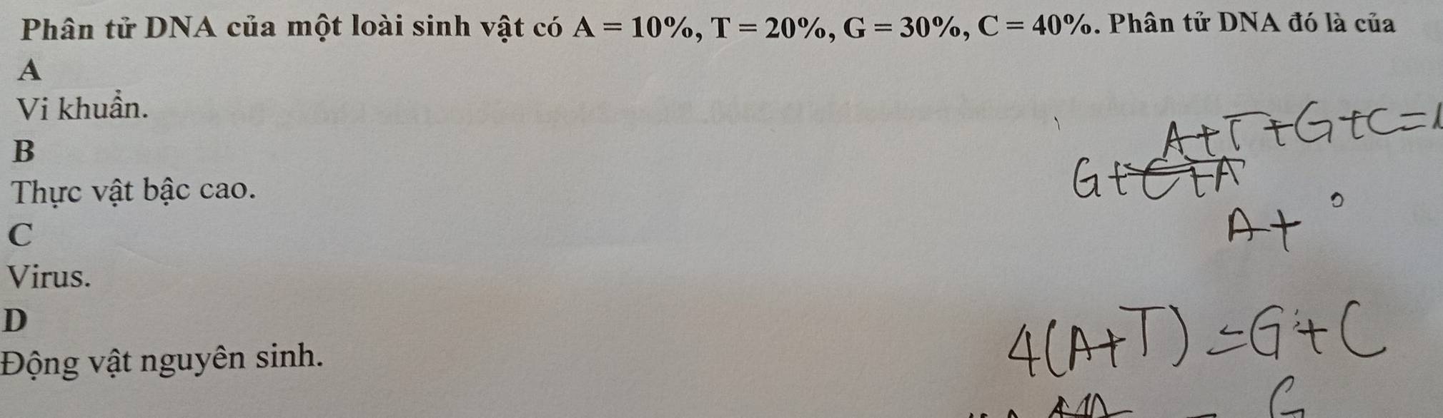 Phân tử DNA của một loài sinh vật có A=10% , T=20% , G=30% , C=40%. Phân tử DNA đó là của
A
Vi khuẩn.
B
Thực vật bậc cao.
C
Virus.
D
Động vật nguyên sinh.