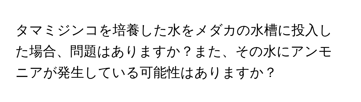 タマミジンコを培養した水をメダカの水槽に投入した場合、問題はありますか？また、その水にアンモニアが発生している可能性はありますか？