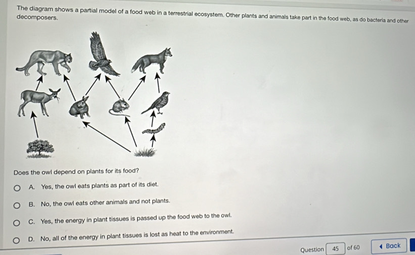 Solved: The diagram shows a partial model of a food web in a ...