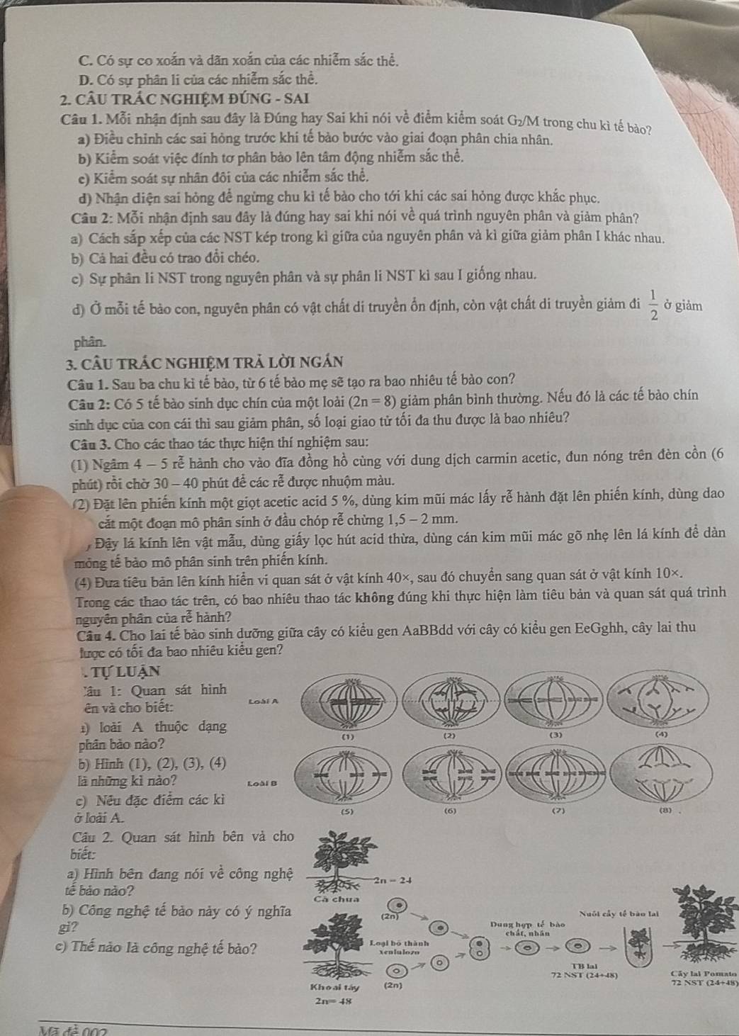 C. Có sự co xoắn và dãn xoắn của các nhiễm sắc thể.
D. Có sự phân li của các nhiễm sắc thể.
2. CÂU TRÁC NGHIỆM ĐÚNG - SAI
Câu 1. Mỗi nhận định sau đây là Đúng hay Sai khi nói về điểm kiểm soát G_2 M trong chu kì tế bảo?
a) Điều chỉnh các sai hỏng trước khi tế bào bước vào giai đoạn phân chia nhân.
b) Kiểm soát việc đính tơ phân bào lên tâm động nhiễm sắc thể.
e) Kiểm soát sự nhân đôi của các nhiễm sắc thể.
d) Nhận điện sai hỏng để ngừng chu kì tế bào cho tới khi các sai hỏng được khắc phục.
Câu 2: Mỗi nhận định sau đây là đúng hay sai khi nói về quá trình nguyên phân và giảm phân?
a) Cách sắp xếp của các NST kép trong kì giữa của nguyên phân và kì giữa giảm phân I khác nhau.
b) Cá hai đều có trao đổi chéo.
c) Sự phân li NST trong nguyên phân và sự phân li NST kì sau I giống nhau.
đ) Ở mỗi tế bảo con, nguyên phân có vật chất di truyền ổn định, còn vật chất di truyền giảm đi  1/2  ở giảm
phân.
3. CÂU TRÁC NGHIỆM TRẬ LờI ngÁN
Câu 1. Sau ba chu kì tế bào, từ 6 tế bào mẹ sẽ tạo ra bao nhiêu tế bào con?
Câu 2: Có 5 tế bào sinh dục chín của một loài (2n=8) giảm phân bình thường. Nếu đó là các tế bảo chín
sinh dục của con cái thì sau giảm phân, số loại giao tử tối đa thu được là bao nhiêu?
Câu 3. Cho các thao tác thực hiện thí nghiệm sau:
(1) Ngâm 4 - 5 rễ hành cho vào đĩa đồng hồ cùng với dung dịch carmin acetic, đun nóng trên đèn cồn (6
phút) rỗi chờ 30 - 40 phút để các rễ được nhuộm màu.
2) Đặt lên phiến kính một giọt acetic acid 5 %, dùng kim mũi mác lấy rễ hành đặt lên phiến kính, dùng dao
cắt một đoạn mô phân sinh ở đầu chóp rễ chừng 1,5 - 2 mm.
Đậy lá kính lên vật mẫu, dùng giấy lọc hút acid thừa, dùng cán kim mũi mác gõ nhẹ lên lá kính đề dàn
mỏng tế bảo mô phân sinh trên phiến kính.
(4) Đưa tiêu bản lên kính hiển vi quan sát ở vật kính 40×, sau đó chuyển sang quan sát ở vật kính 10×.
Trong các thao tác trên, có bao nhiêu thao tác không đúng khi thực hiện làm tiêu bản và quan sát quá trình
nguyên phân của rễ hành?
Câu 4. Cho lai tế bào sinh dưỡng giữa cây có kiểu gen AaBBdd với cây có kiều gen EeGghh, cây lai thu
lược có tối đa bao nhiêu kiểu gen?
. Tự luận
ầu  1: Quan sát hình
ên và cho biết:
) loài A thuộc dạng
phân bảo nào?
b) Hinh (1), (2), (3), (4)
là những kì nào? 
c) Nếu đặc điểm các kì
ở loài A. 
Câu 2. Quan sát hình bên và cho
biết:
a) Hình bên đang nói về công nghệ
tế bảo nào? 2n = 24
Cà chua
b) Công nghệ tế bào này có ý nghĩa (2n) Nuôi cầy tế bào lai
gi? Dung hợp tế bào
chát, nhán
c) Thế nào là công nghệ tế bào? Loại bó thành
→>
I B lal
72 NST (24+48) Cây lal Pomato
Khoại táy (2n)
72 NST (24+48)
2n= 48
Mã đà 0o0