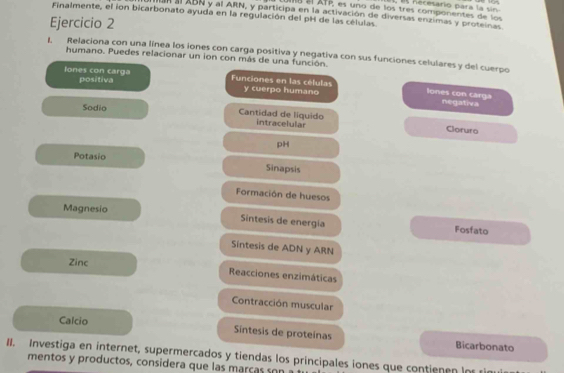 Uo el ATP, es uno de los tres componentes de lo , s necesario para la sin 
Finalmente, el ion bicarbonato ayuda en la regulación del pH de las células 
aR al ABN y al ARN, y participa en la activación de diversas enzimas y proteinas 
Ejercicio 2 
1. Relaciona con una línea los iones con carga positiva y negativa con sus funciones celulares y del cuerpo 
humano. Puedes relacionar un ion con más de una función. 
lones con carga positiva Funciones en las células y cuerpo humano 
lones con carga negativa 
Sodio Cantidad de líquido intracelular Cloruro 
pH 
Potasio 
Sinapsis 
Formación de huesos 
Magnesio Sintesis de energía Fosfato 
Sintesis de ADN y ARN 
Zinc Reacciones enzimáticas 
Contracción muscular 
Calcio Sintesis de proteinas Bicarbonato 
II. Investiga en internet, supermercados y tiendas los principales iones que contienen io i 
mentos y productos, considera que las marcas son