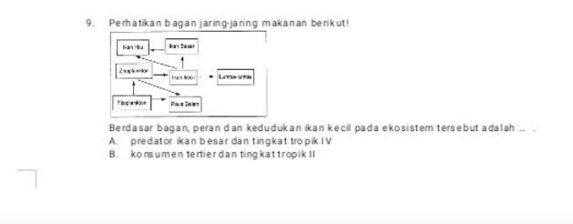 9 . Perhatikan bagan jaring-jaring makanan berikut !
Berdasar bagan, peran dan kedudukan ikan kecil pada ekosistem tersebut adalah_
A. predator ikan besar dan tingkat tropik I V
B. kons umen tertier dan ting kat tropik II