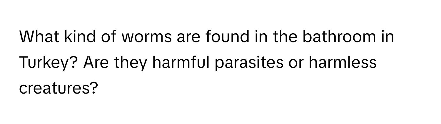 What kind of worms are found in the bathroom in Turkey? Are they harmful parasites or harmless creatures?