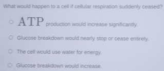 What would happen to a cell if cellular respiration suddenly ceased?
ATP production would increase significantly.
Glucose breakdown would nearly stop or cease entirely.
The cell would use water for energy.
Glucose breakdown would increase.