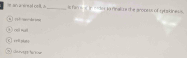 In an animal cell, a_ is formed in order to finalize the process of cytokinesis.
A  cell membrane
B  cell wall
c cell plate
D cleavage furrow