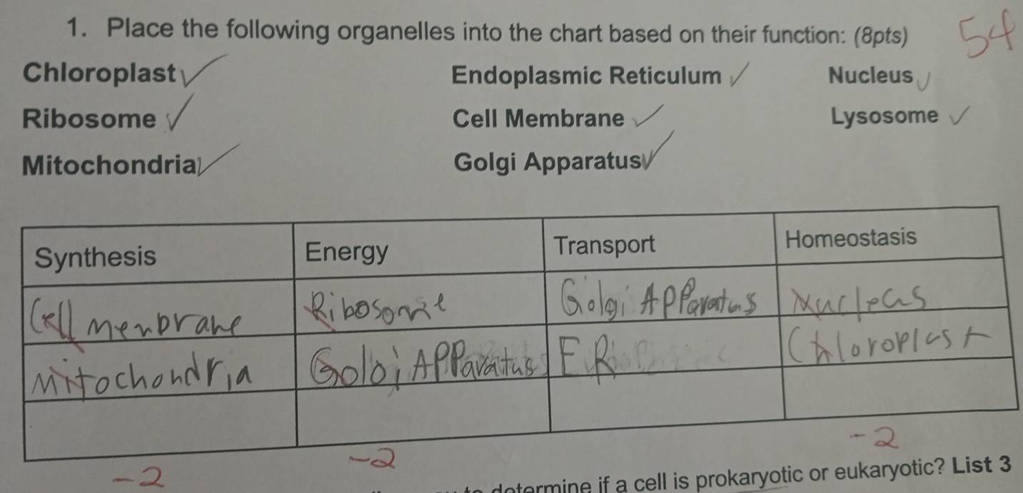 Place the following organelles into the chart based on their function: (8pts) 
Chloroplast Endoplasmic Reticulum Nucleus 
Ribosome Cell Membrane Lysosome 
Mitochondria Golgi Apparatus 
termine if a cell is prokaryotic or eukaryo3