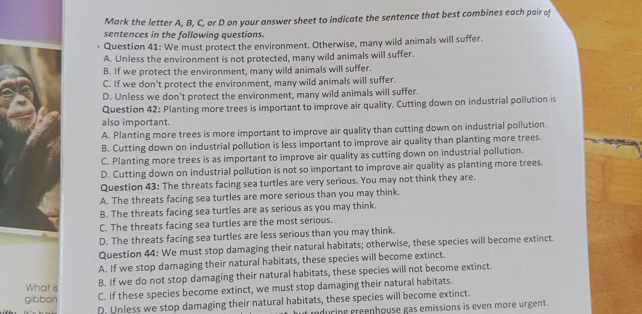 Mark the letter A, B, C, or D on your answer sheet to indicate the sentence that best combines each pair of
sentences in the following questions.
Question 41: We must protect the environment. Otherwise, many wild animals will suffer.
A. Unless the environment is not protected, many wild animals will suffer.
B. If we protect the environment, many wild animals will suffer.
C. If we don't protect the environment, many wild animals will suffer.
D. Unless we don't protect the environment, many wild animals will suffer.
Question 42: Planting more trees is important to improve air quality. Cutting down on industrial pollution is
also important.
A. Planting more trees is more important to improve air quality than cutting down on industrial pollution.
B. Cutting down on industrial pollution is less important to improve air quality than planting more trees.
C. Planting more trees is as important to improve air quality as cutting down on industrial pollution.
D. Cutting down on industrial pollution is not so important to improve air quality as planting more trees.
Question 43: The threats facing sea turtles are very serious. You may not think they are.
A. The threats facing sea turtles are more serious than you may think.
B. The threats facing sea turtles are as serious as you may think.
C. The threats facing sea turtles are the most serious.
D. The threats facing sea turtles are less serious than you may think.
Question 44: We must stop damaging their natural habitats; otherwise, these species will become extinct.
A. If we stop damaging their natural habitats, these species will become extinct.
B. If we do not stop damaging their natural habitats, these species will not become extinct.
What is
gibbon
C. If these species become extinct, we must stop damaging their natural habitats.
D. Unless we stop damaging their natural habitats, these species will become extinct.
roducing greenhouse gas emissions is even more urgent.