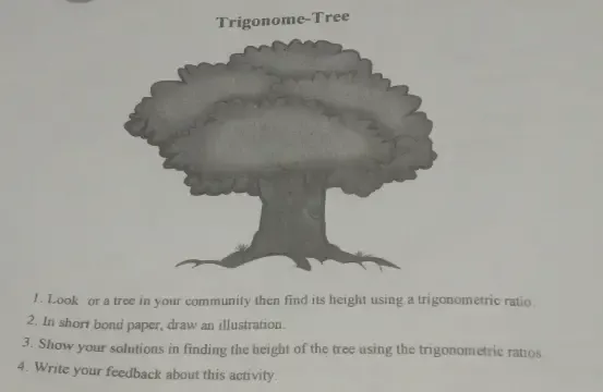 Solved: Trigonome-Tree 1. Look or a tree in your community then find ...