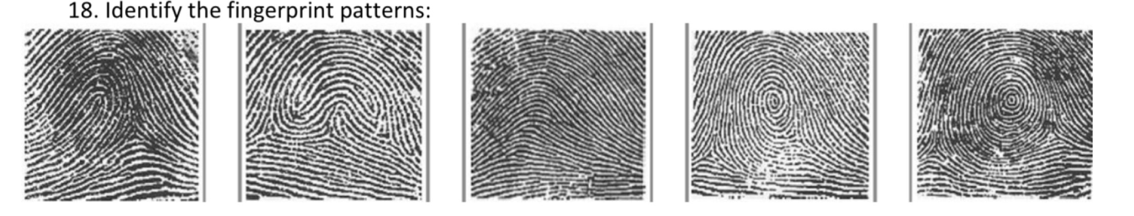 Identify the fingerprint patterns: