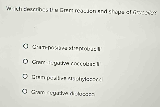 Which describes the Gram reaction and shape of Brucella?
Gram-positive streptobacilli
Gram-negative coccobacilli
Gram-positive staphylococci
Gram-negative diplococci