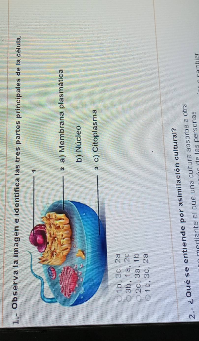 Observa la imagen e identifica las tres partes principales de la célula.
_1
_² a) Membrana plasmática
b) Núcleo
_³ c) Citoplasma
1b, 3c, 2a
3b, 1a, 2c
2c, 3a, 1b
1c, 3c, 2a
2.- ¿Qué se entiende por asimilación cultural?
mediante el que una cultura absorbe a otra.
de las personas.
cambiar.