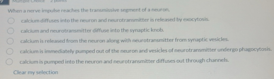 Solved: When a nerve impulse reaches the transmissive segment of a ...