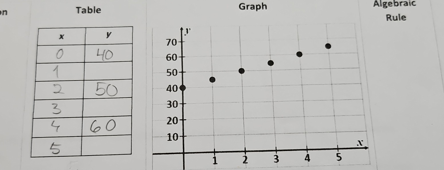 Graph 
Table Algebraic 
Rule