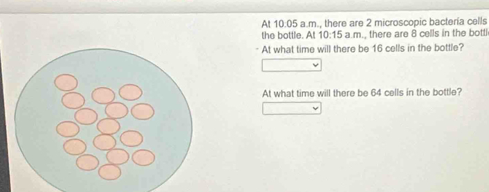 At 10.05 a.m., there are 2 microscopic bactería cells 
the bottle. At 10:15 a.m., there are 8 cells in the bottl 
At what time will there be 16 cells in the bottle? 
At what time will there be 64 cells in the bottle?