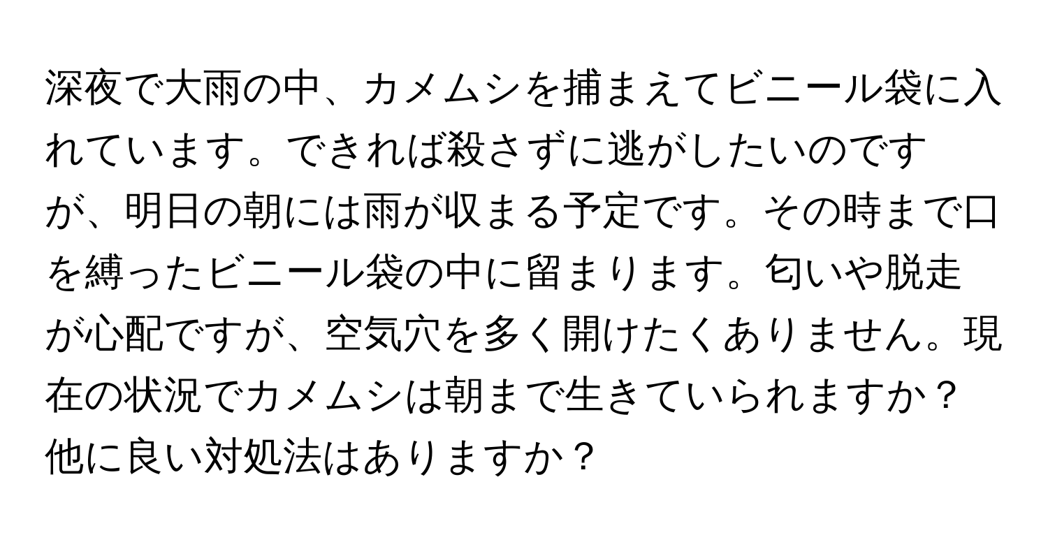 深夜で大雨の中、カメムシを捕まえてビニール袋に入れています。できれば殺さずに逃がしたいのですが、明日の朝には雨が収まる予定です。その時まで口を縛ったビニール袋の中に留まります。匂いや脱走が心配ですが、空気穴を多く開けたくありません。現在の状況でカメムシは朝まで生きていられますか？他に良い対処法はありますか？