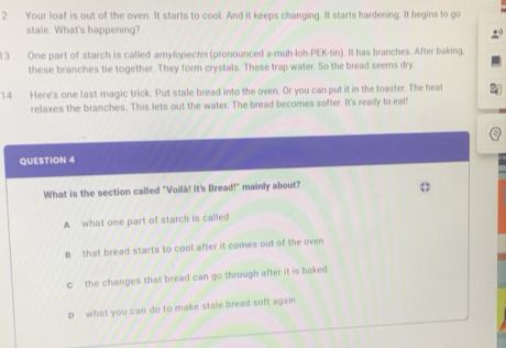 Your loaf is out of the oven. It starts to cool. And it keeps changing. It starts hardening. It begins to go
stale. What's happening?
13 One part of starch is called amylopectin (pronounced a-muh-loh-PEK-tin). It has branches. After baking,
these branches tie together. They form crystals. These trap water. So the bread seems dry.
14 Here's one last magic trick. Put stale bread into the oven. Or you can put it in the toaster. The heat
relaxes the branches. This lets out the water. The bread becomes softer. It's ready to eat!
QUESTION 4
What is the section called "Voilà! It's Bread!" mainly about?
A what one part of starch is called
# that bread starts to cool after it comes out of the oven
c the changes that bread can go through after it is baked
n what you can do to make stale bread soft again