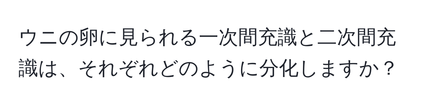 ウニの卵に見られる一次間充識と二次間充識は、それぞれどのように分化しますか？