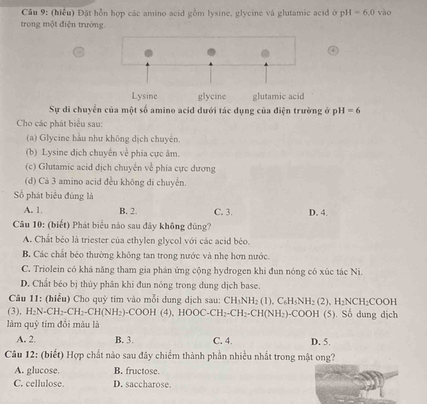 (hiều) Đặt hỗn hợp các amino acid gồm lysine, glycine và glutamic acid ở pH=6,0 vào
trong một điện trường.
a
Sự di chuyền của một số amino acid dưới tác dụng của điện trường ở pH=6
Cho các phát biểu sau:
(a) Glycine hầu như không dịch chuyển.
(b) Lysine dịch chuyển về phía cực âm.
(c) Glutamic acid dịch chuyển về phía cực dương
(d) Cả 3 amino acid đều không di chuyển.
Số phát biểu đúng là
A. 1. B. 2. C. 3. D. 4.
Câu 10: (biết) Phát biểu nào sau đây không đúng?
A. Chất béo là triester của ethylen glycol với các acid béo.
B. Các chất béo thường không tan trong nước và nhẹ hơn nước.
C. Triolein có khả năng tham gia phản ứng cộng hydrogen khi đun nóng có xúc tác Ni.
D. Chất béo bị thủy phân khi đun nóng trong dung dịch base.
Câu 11: (hiểu) Cho quỳ tím vào mỗi dung dịch sau: CH_3NH_2(1),C_6H_5NH_2(2),H_2NCH_2COOH
(3), H_2N-CH_2-CH_2-CH(NH_2)-COOH(4),HOOC-CH_2-CH_2-CH(NH_2)-COOH (5). Số dung dịch
làm quỳ tím đồi màu là
A. 2. B. 3. C. 4. D. 5.
Câu 12: (biết) Hợp chất nào sau đây chiếm thành phần nhiều nhất trong mật ong?
A. glucose. B. fructose.
C. cellulose. D. saccharose.
