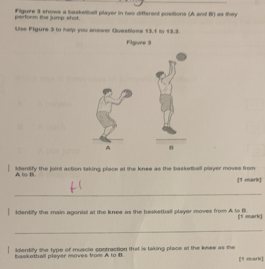 Solved: Figure 3 shows a basketball player in two different positions ...