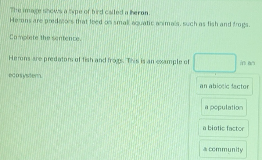 Solved: The image shows a type of bird called a heron. Herons are ...