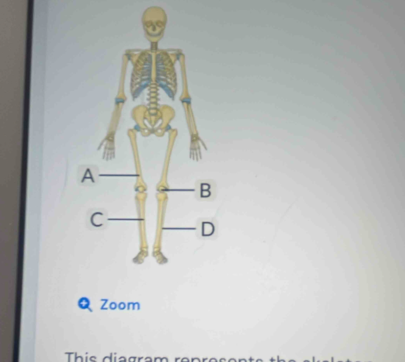 Zoom 
This diagram renr