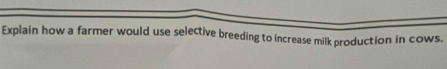 Explain how a farmer would use selective breeding to increase milk production in cows.