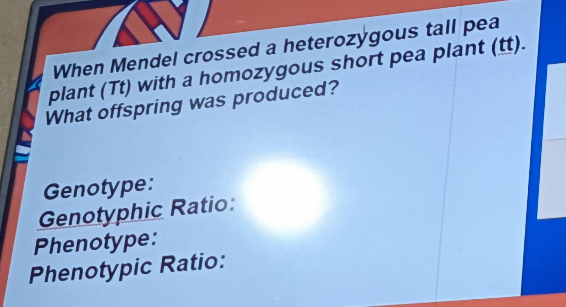 Solved: When Mendel crossed a heterozygous tall pea plant (Tt) with a ...