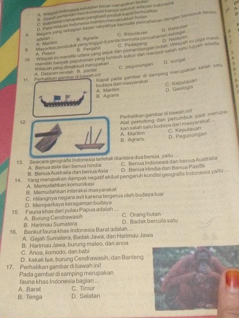 A. Wilayah Indonesia sebagian besar merupakan lautan
B. Sawah pertanian mendominasi hampir seluruh wilayah Indonesia
B
C. Indonesia merupakan penghasii produk kapai berkualitas
8. Negara yang sebagian besar rakyatnya bermata pencaharian dengan bercocok tanan A
D. Para nelayan Indonesia mampu menakiukkan hulan
A. Maritim adalah ... B. Agraris C. Kepulauan
9. Mayortas penduduk yang tinggal di pantai bermata pencaharian sebagai . D. Kelautan
D. Nelayan
A Patani B. Penjahit C. Pedagang
10. Wilayah ini memiliki udara yang sejuk dan pemandangan indah. Wilayah ini juga masi 5
memiliki banyak pepohonan yang tumbuh subur dan menjadi salah satu tujuan wisata
A
Wilayah yang dimaksud merupakan ...
11. Perhatikan gambar di bawah ini! C. pegunungan D. sungai
A. Dataran rendah B. pantai
budaya dari masyarakat Kapal pada gambar di samping merupakan salah satu
5
β
C. Kepulauan B.
A. Maritim D. Geologis 9
B. Agraris
Perhatikan gambar di bawah ini!
12.
Alat pemotong dan penumbuk padi merupa
kan salah satu budaya dari masyarakat ...
A. Maritim C. Kepulauan
B. Agraris
D. Pegunungan
13. Seacara geografis Indonesia terletak diantara dua benua, yaitu ...
A. Benua asia dan benua hindia C. Benua Indonesia dan benua Australia
B. Benua Australia dan benua Asia D. Benua Hindia dan Benua Pasifik
14. Yang merupakan dampak negatif akibat pengaruh kondisi geografis Indonesia yaitu ...
A. Memudahkan komunikasi
B. Memudahkan interaksi masyarakat
C. Hilangnya negara asli karena tergerus oleh budaya luar
D. Memperkaya keragaman budaya
15. Fauna khas dari pulau Papua adalah ...
A. Burung Cendrawasih C. Orang hutan
B. Harimau Sumatera D. Badak bercula satu
16. Berikut fauna khas Indonesia Barat adalah …..
A. Gajah Sumatera, Badak Jawa, dan Harimau Jawa
B. Harimau Jawa, burung maleo, dan anoa
C. Anoa, komodo, dan babi
D. kakak tua, burung Cendrawasih, dan Banteng
17. Perhatikan gambar di bawah ini!
Pada gambar di samping merupakan
fauna khas Indonesia bagian ...
A. Barat C. Timur
B. Tenga D. Selatan