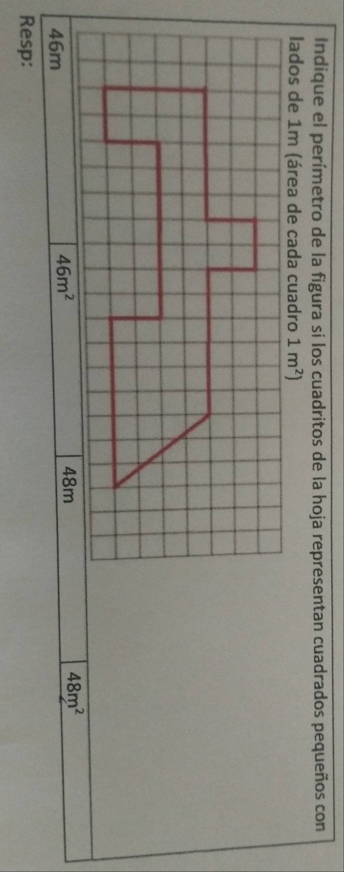 Indique el perímetro de la figura si los cuadritos de la hoja representan cuadrados pequeños con 
lados de 1m (área de cada cuadro 1m^2)
48m
48m^2
46m
46m^2
Resp: