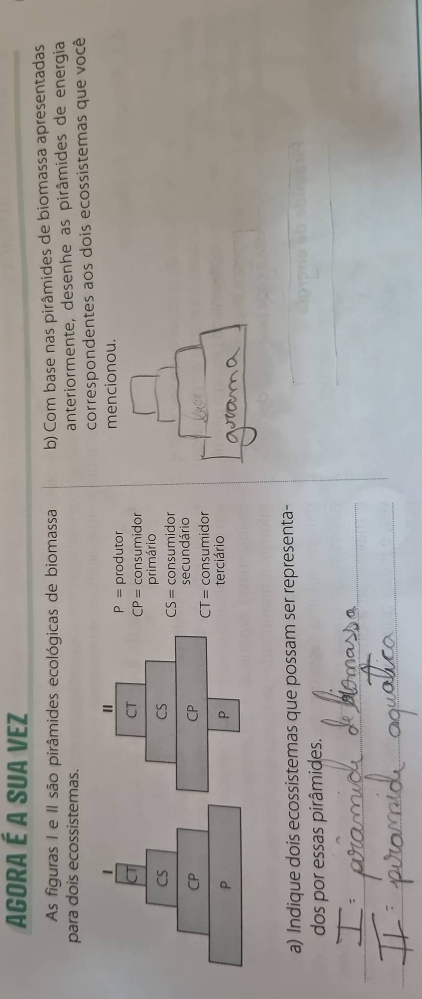 AGorA É A SUA VEZ 
As figuras I e II são pirâmides ecológicas de biomassa 
b) Com base nas pirâmides de biomassa apresentadas 
para dois ecossistemas. 
anteriormente, desenhe as pirâmides de energia 
1correspondentes aos dois ecossistemas que você 
mencionou.
P= produtor
CP= consumidor 
primário 
CS
CS= consumidor
CP
secundário
CT= consumidor
P
terciário 
a) Indique dois ecossistemas que possam ser representa- 
dos por essas pirâmides. 
_ 
_