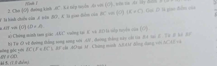 Hình 1 
2. Cho (O) đường kinh AC. Kẻ tiếp tuyển Ax với (O), trên tia Ax lay điểm B(D!= a)
# là hình chiếu của A trên BO, K là giao điểm của BC với (O) (K!= C). Gọi D là giao điểm của 
a AH với (O) (D!= A). 
a) Chứng minh tam giác AKC vuông tại K và BD là tiếp tuyến của (O) 
b) Từ O vẽ đường thắng song song với AH , đường thắng này cắt tia BA tại E. Từ B kè BF
uông góc với EC(F∈ EC). BF cắt AO tại M. Chứng minh △ BAM đồng đạng với ∆CAE và
AHparallel OD. 
sài 5. (1,0 điểm).