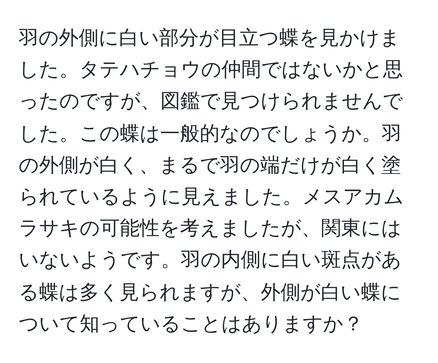 羽の外側に白い部分が目立つ蝶を見かけました。タテハチョウの仲間ではないかと思ったのですが、図鑑で見つけられませんでした。この蝶は一般的なのでしょうか。羽の外側が白く、まるで羽の端だけが白く塗られているように見えました。メスアカムラサキの可能性を考えましたが、関東にはいないようです。羽の内側に白い斑点がある蝶は多く見られますが、外側が白い蝶について知っていることはありますか？