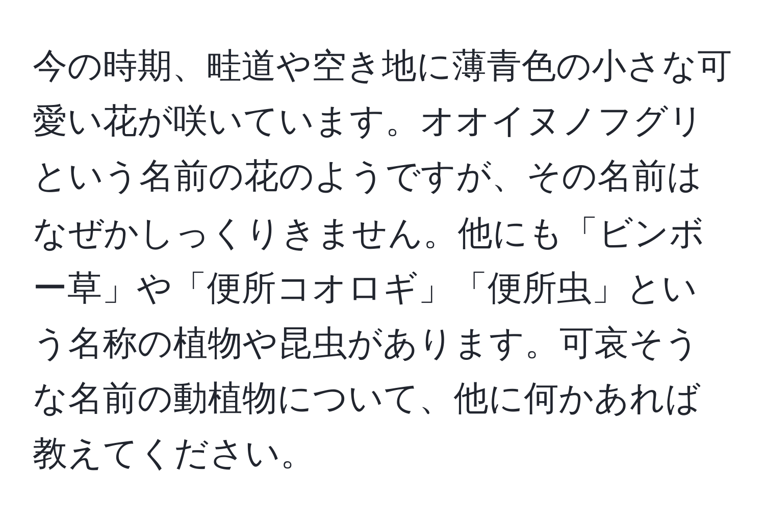 今の時期、畦道や空き地に薄青色の小さな可愛い花が咲いています。オオイヌノフグリという名前の花のようですが、その名前はなぜかしっくりきません。他にも「ビンボー草」や「便所コオロギ」「便所虫」という名称の植物や昆虫があります。可哀そうな名前の動植物について、他に何かあれば教えてください。