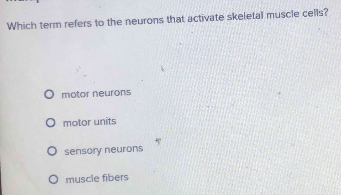 Solved: Which term refers to the neurons that activate skeletal muscle ...