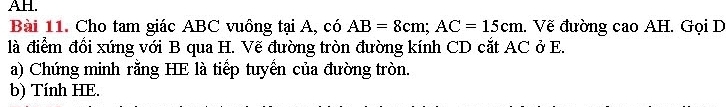 AH. 
Bài 11. Cho tam giác ABC vuông tại A, có AB=8cm; AC=15cm.. Vẽ đường cao AH. Gọi D 
là điểm đổi xúng với B qua H. Vẽ đường tròn đường kính CD cắt AC ở E. 
a) Chứng minh rằng HE là tiếp tuyển của đường tròn. 
b) Tính HE.