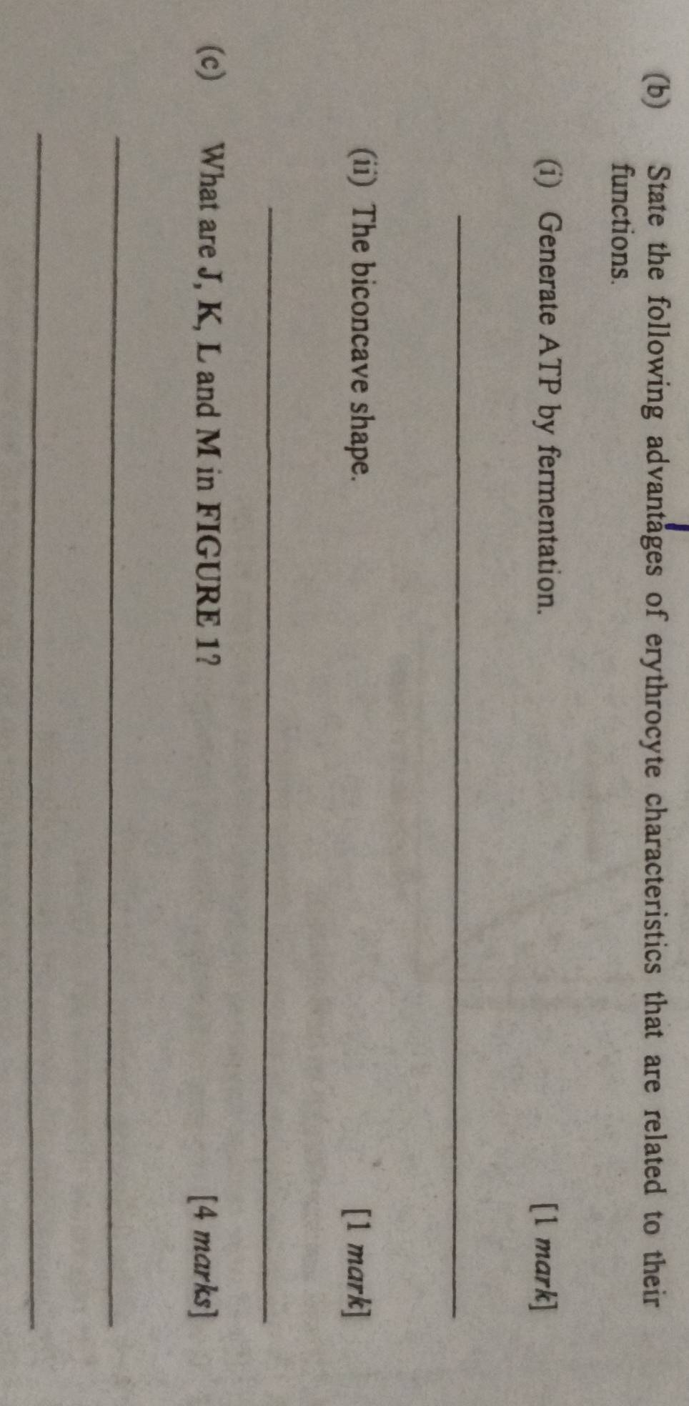 State the following advantages of erythrocyte characteristics that are related to their 
functions. 
(i) Generate ATP by fermentation. [1 mark] 
_ 
(ii) The biconcave shape. [1 mark] 
_ 
(c) What are J, K, L and M in FIGURE 1? [4 marks] 
_ 
_