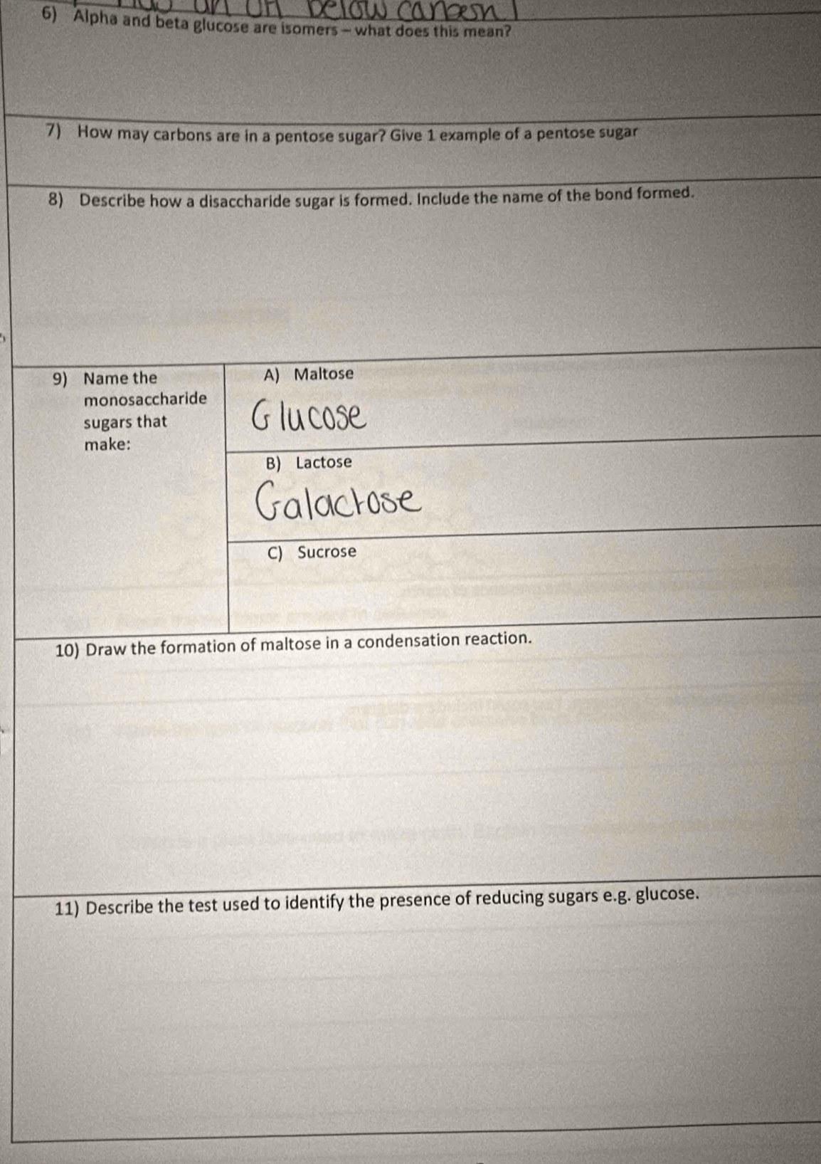 Alpha and beta glucose are isomers — what does this mean?
7) How may carbons are in a pentose sugar? Give 1 example of a pentose sugar
8) Describe how a disaccharide sugar is formed. Include the name of the bond formed.
9) Name the A) Maltose
monosaccharide
sugars that
make:
B) Lactose
C) Sucrose
10) Draw the formation of maltose in a condensation reaction.
11) Describe the test used to identify the presence of reducing sugars e.g. glucose.